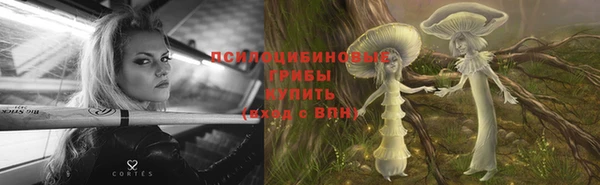 a pvp Заволжск