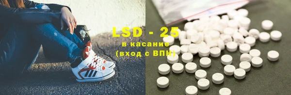 ПСИЛОЦИБИНОВЫЕ ГРИБЫ Заволжье