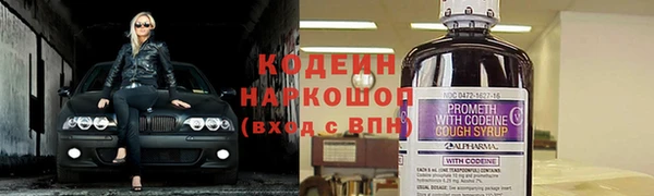 ПСИЛОЦИБИНОВЫЕ ГРИБЫ Заволжье