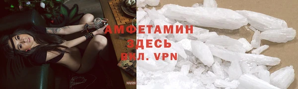 ПСИЛОЦИБИНОВЫЕ ГРИБЫ Заволжье