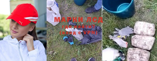 ПСИЛОЦИБИНОВЫЕ ГРИБЫ Заволжье