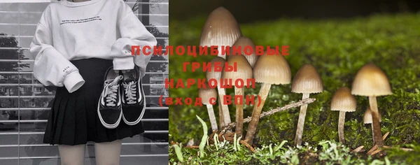 a pvp Заволжск